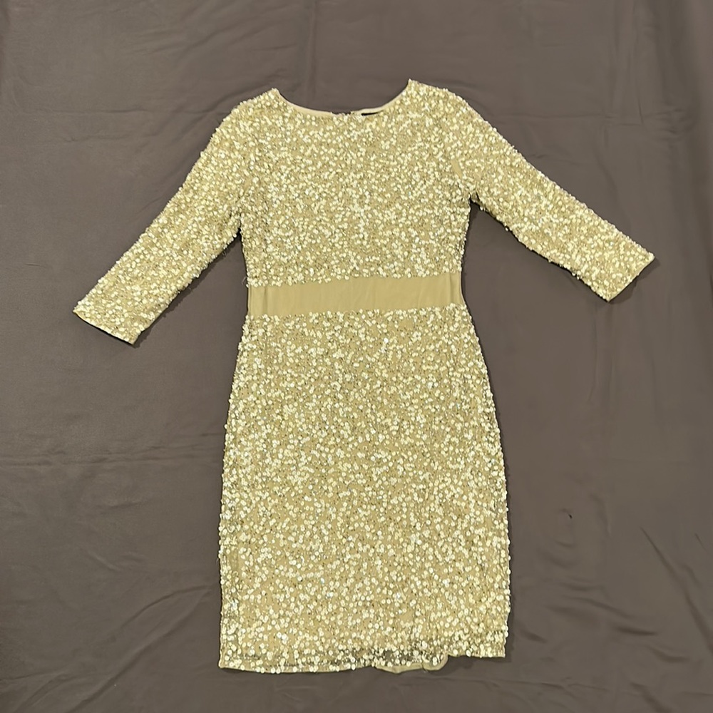 Venus sequins and sheer dress